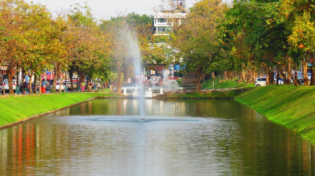 Potae'S House Hostel เชียงใหม่ ห้อง รูปภาพ